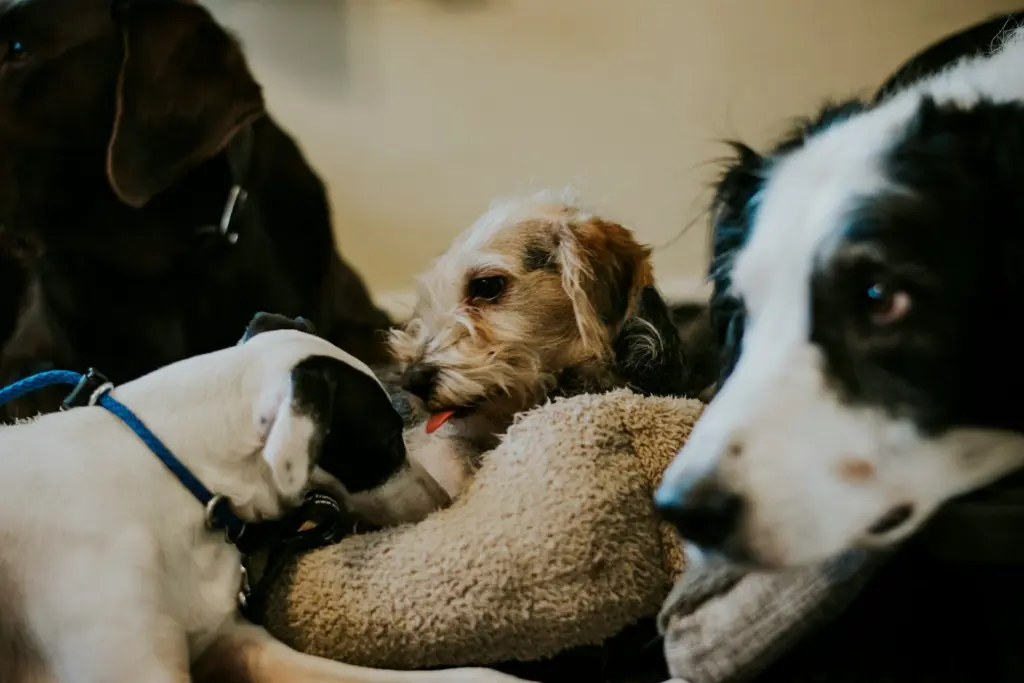 Photo by Shelly Busby on Unsplash