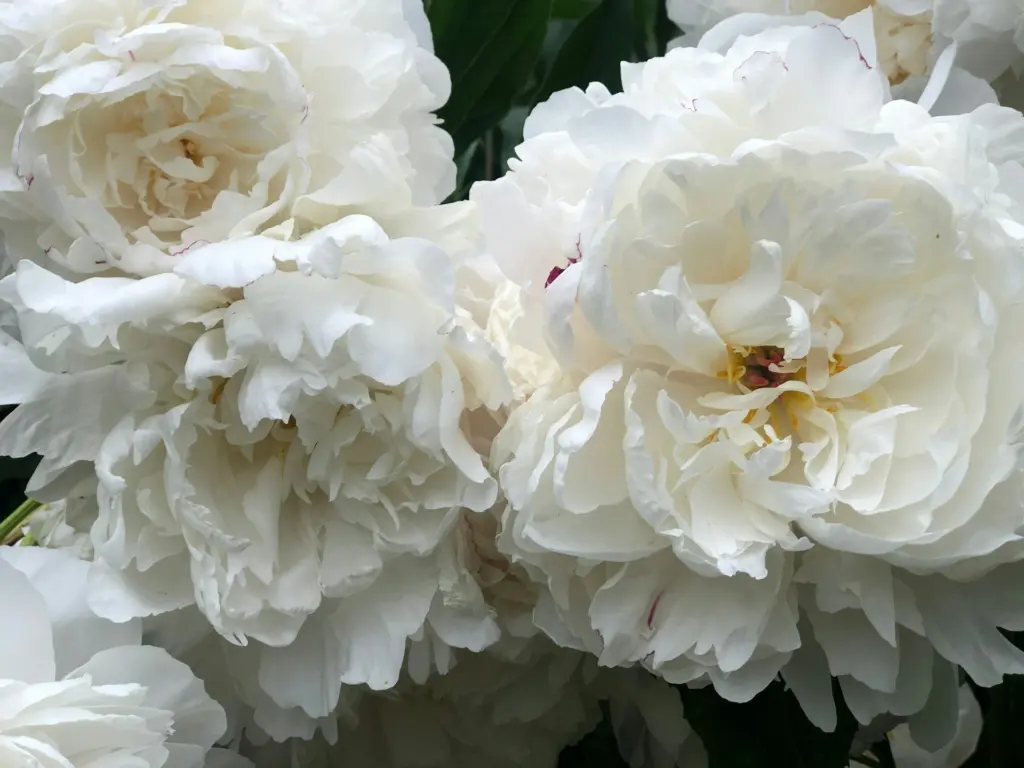 Photo by Kayce Soros on Unsplash