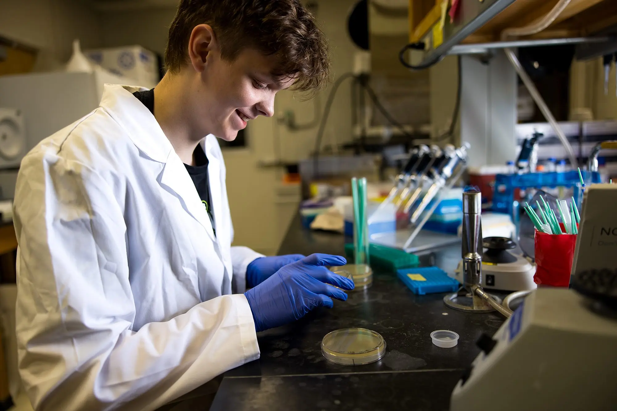 Colter Martin of Moscow, a junior studying medical clinical sciences, gains laboratory experience in the statewide Idaho INBRE program.
