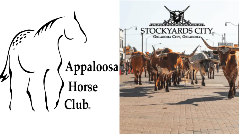 Appaloosa Horse Club