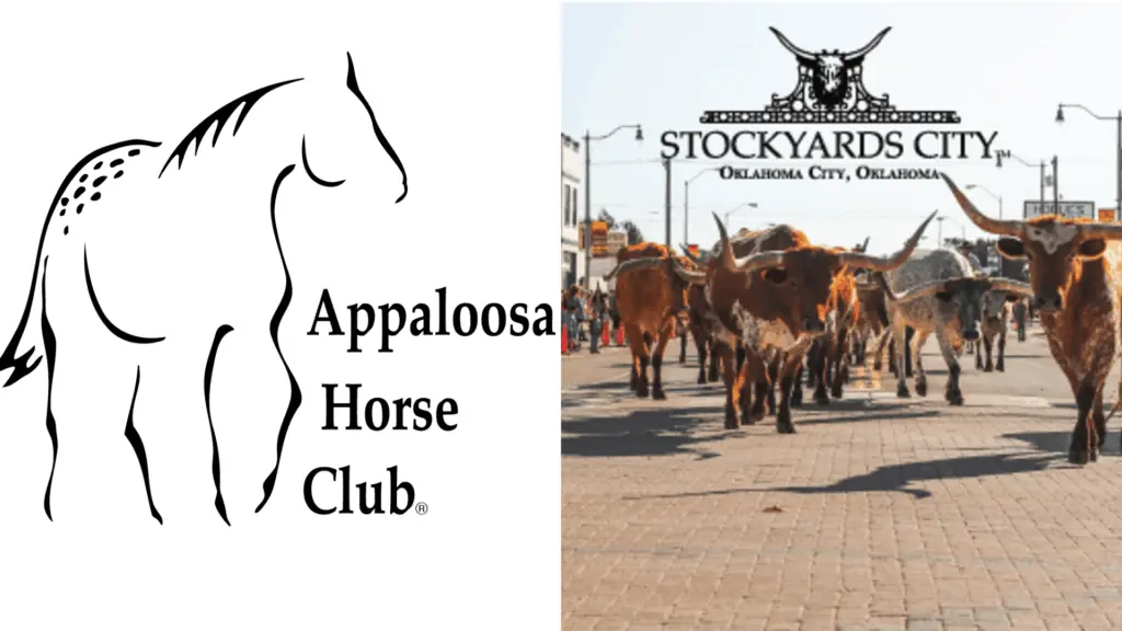 Appaloosa Horse Club