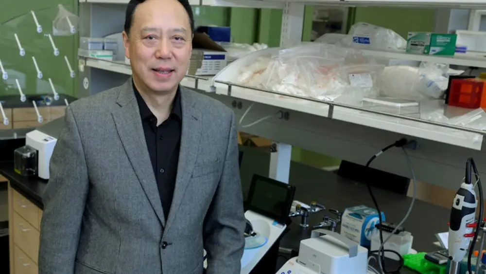 Wei Yan, director of the School of Molecular Biosciences at WSU, has been pursuing the development of a male contraceptive pill for decades.
