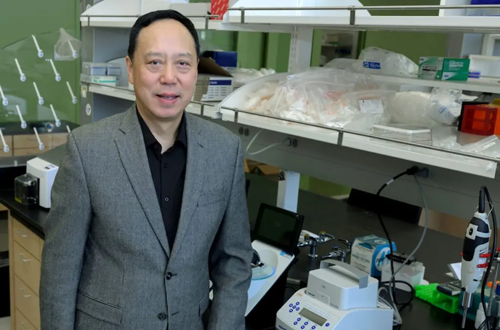 Wei Yan, director of the School of Molecular Biosciences at WSU, has been pursuing the development of a male contraceptive pill for decades.