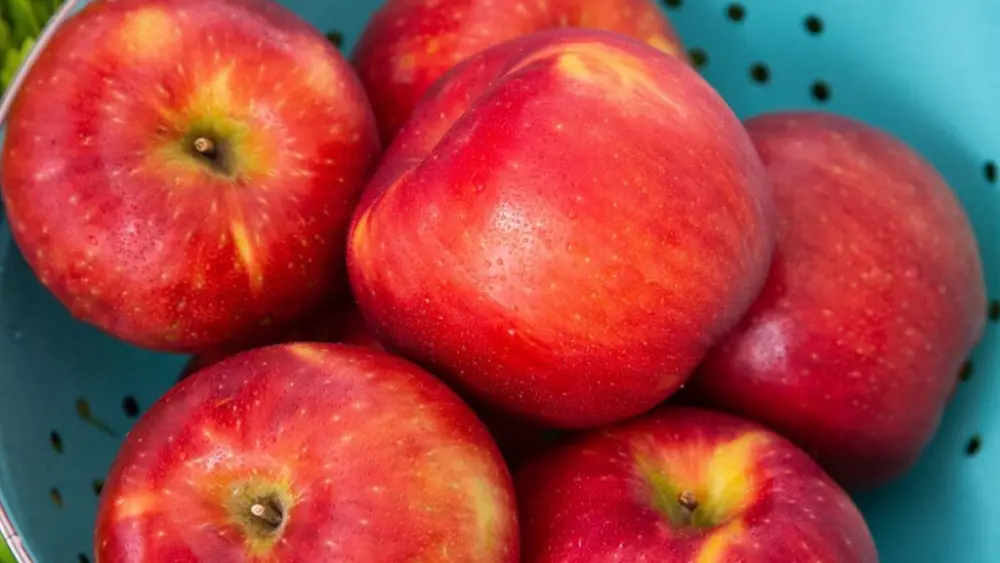 Bred at WSU and launched in 2020, the Cosmic Crisp® apple has earned high marks for its balanced flavor, crisp texture, juiciness, excellent storage qualities, and striking color.