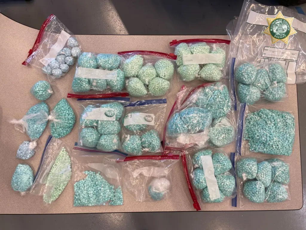 Multnomah County Sheriff’s officials seized about $400,000 worth of fentanyl powder and pills on July 25, 2023, marking the agency’s largest such seizure at that time. (Courtesy of Multnomah County Sheriff’s Office)