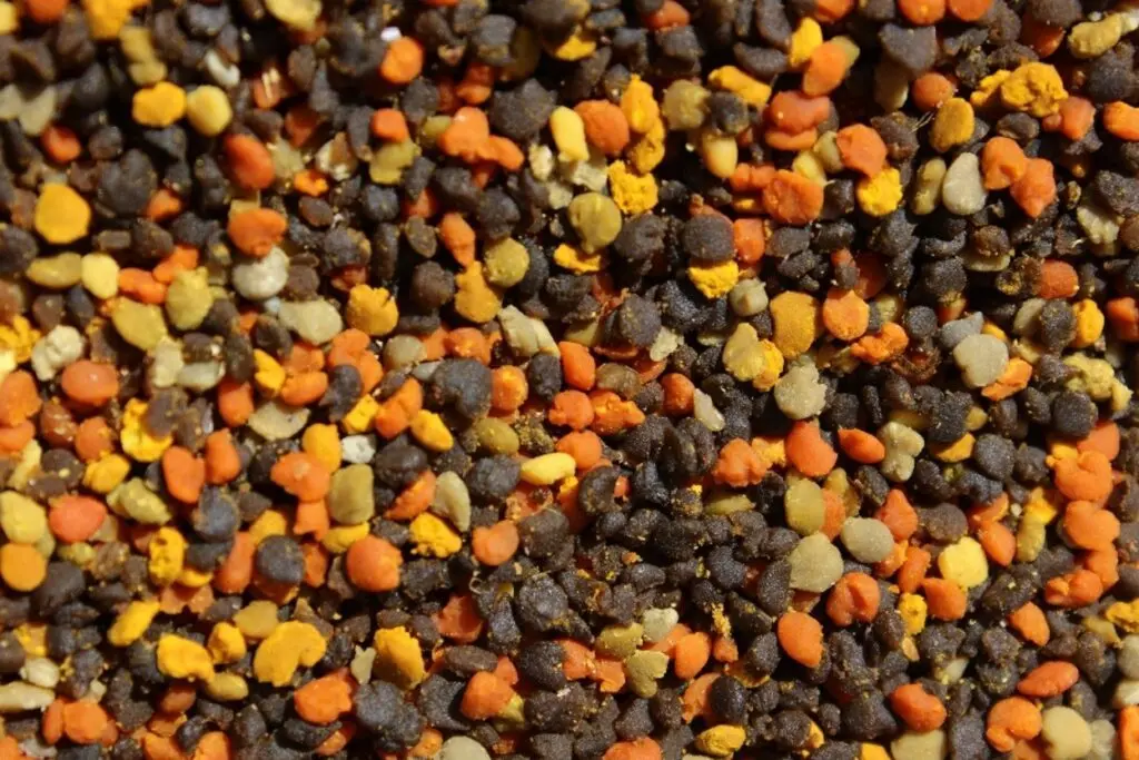 A variety of pollen trapped at a honey bee colony entrance. Taken at Corvallis, Ore. at the Oregon State University campus, the photo shows the variety of pollen that pollinators collect. (Photo courtesy of Priya Chakrabarti Basu)