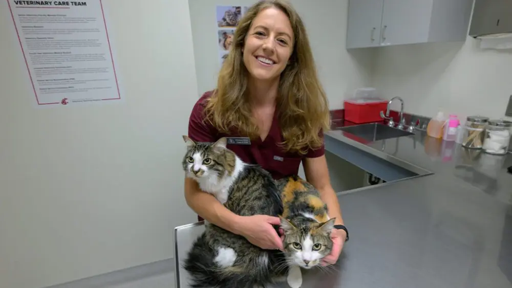 Montana Milton, a fourth-year student in WSU's College of Veterinary Medicine, poses for a photo with Reggie and Doc, her two cats, on Monday, Aug. 4, 2025, at the Veterinary Teaching Hospital in Pullman. Milton is the latest recipient of the Howard L. and E. Anne Wright Scholarship, a $49,000 scholarship awarded to a veterinary student in the top half of their class academically who plans to enter a career in small animal medicine (photo by Ted Warren, WSU Veterinary Medicine).