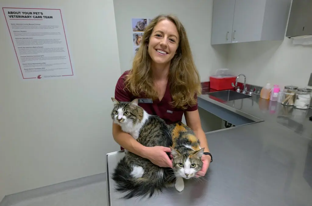 Montana Milton, a fourth-year student in WSU's College of Veterinary Medicine, poses for a photo with Reggie and Doc, her two cats, on Monday, Aug. 4, 2025, at the Veterinary Teaching Hospital in Pullman. Milton is the latest recipient of the Howard L. and E. Anne Wright Scholarship, a $49,000 scholarship awarded to a veterinary student in the top half of their class academically who plans to enter a career in small animal medicine (photo by Ted Warren, WSU Veterinary Medicine).