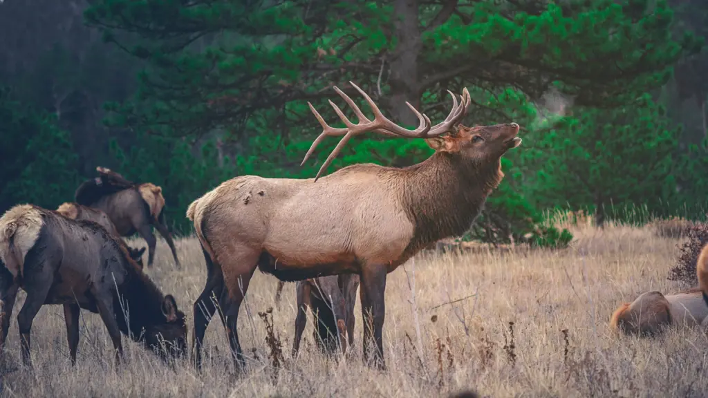 Photo by Byron Johnson on Unsplash
