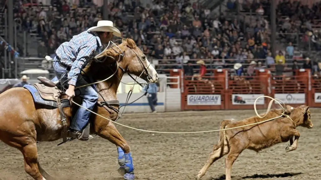 Lewiston Roundup