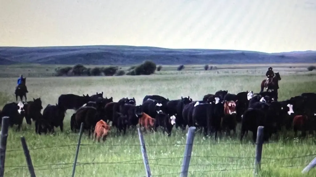 Nobody from the state gave fifth-generation Idaho rancher Nick Beard a heads up that state officials were considering auctioning off the state endowment rangeland his family has leased for grazing since the 1990s. (Photo courtesy of Nick Beard)