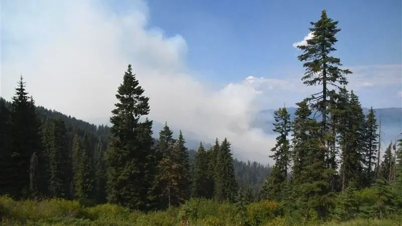Photo credit: U.S. Forest Service – Nez Perce–Clearwater National Forests