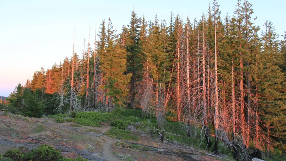 Photo courtesy of the Bureau of Land Management