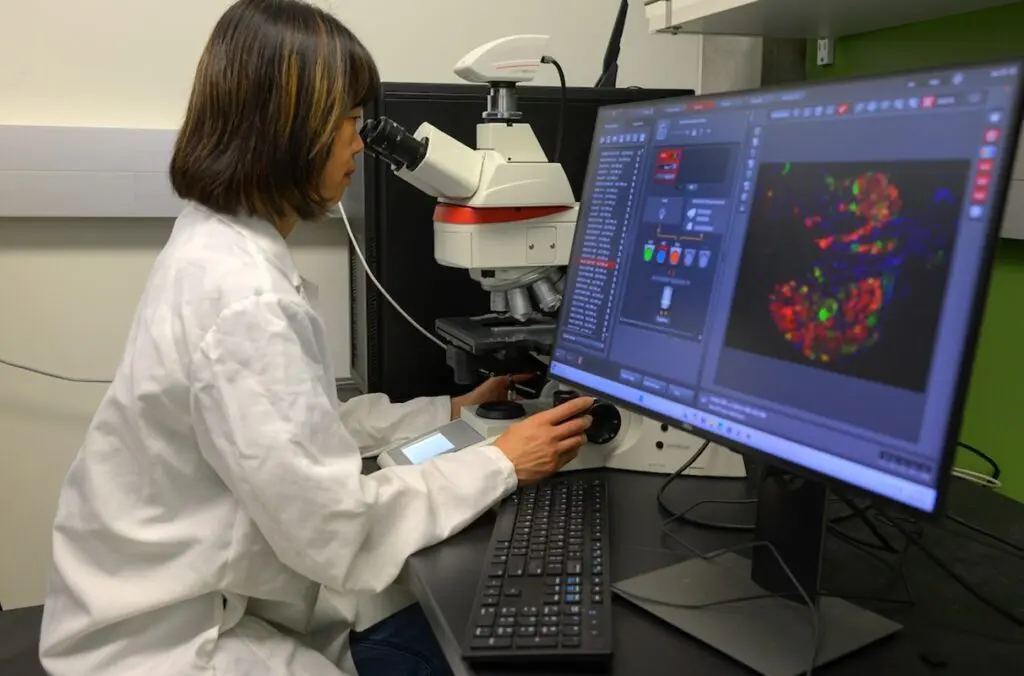 Kanako Hayashi, a professor in the WSU College of Veterinary Medicine’s Center for Reproductive Biology, led a new study that shows prenatal cannabis use may disrupt and slow the reproductive development of offspring (photo by Ted S. Warren, College of Veterinary Medicine)