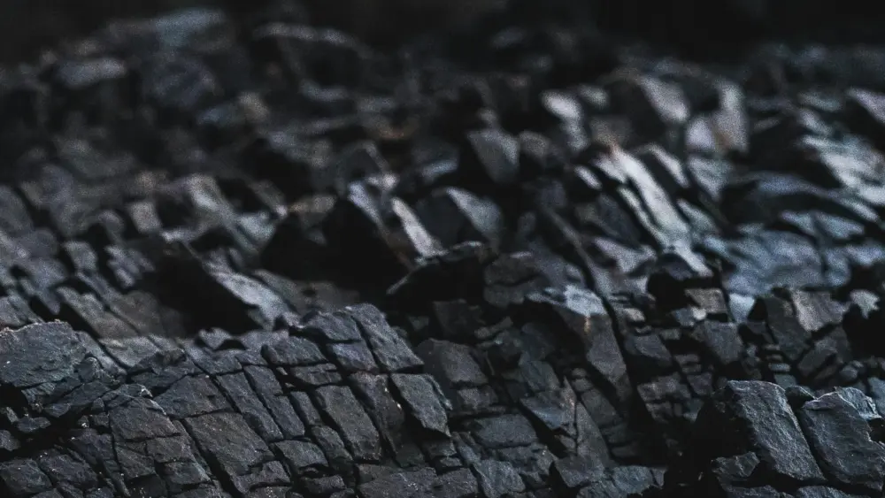 Coal