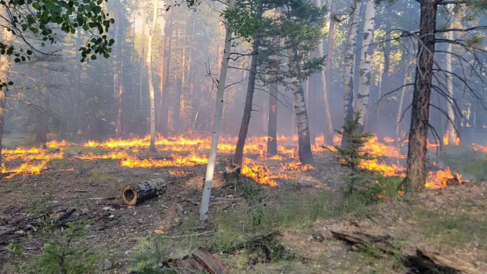 Dragon Bravo Fire
