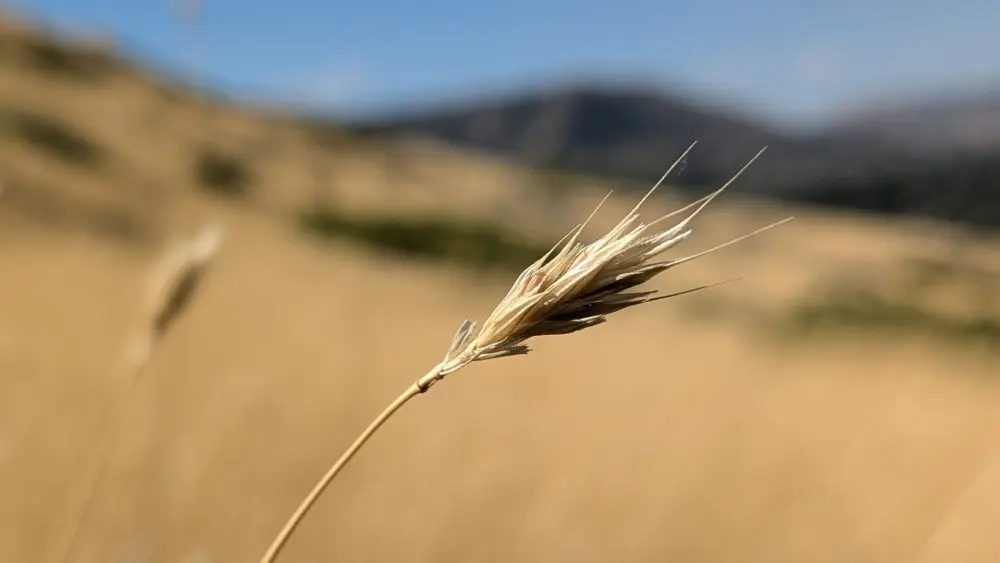 Photo by Red Heron on Unsplash