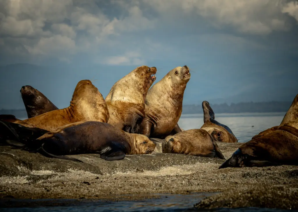 Photo by Greg Sellentin on Unsplash