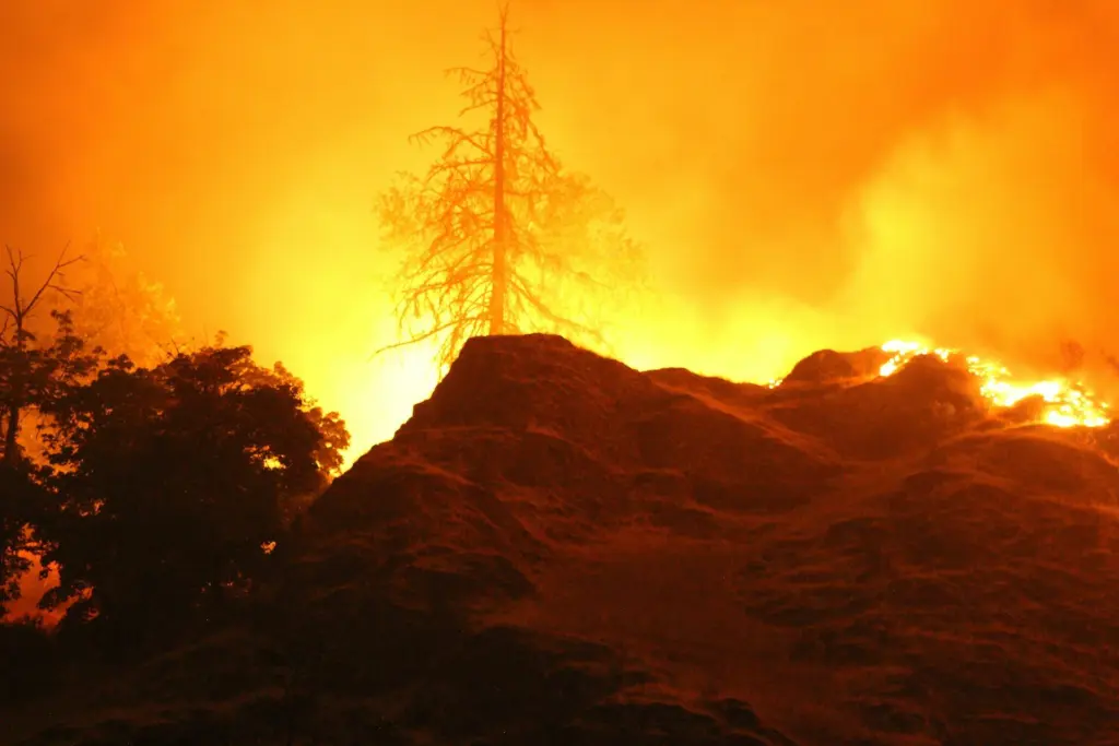 Mt. Nebo fire along I5.