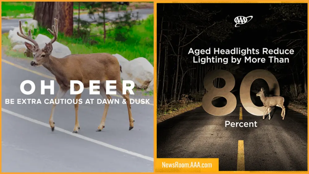 Photo Credit: AAA Idaho