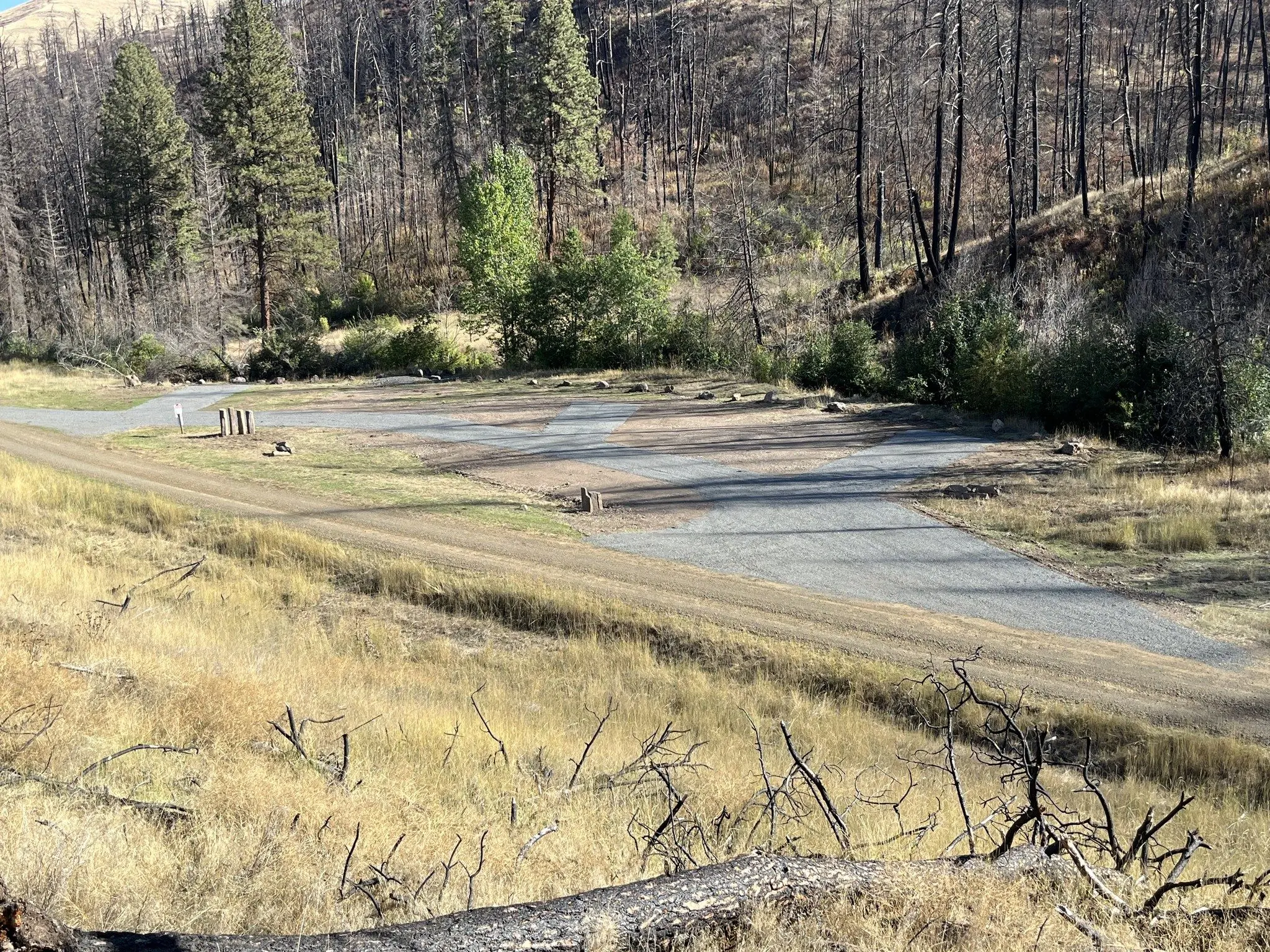 Photo courtesy of WDFW (Facebook)