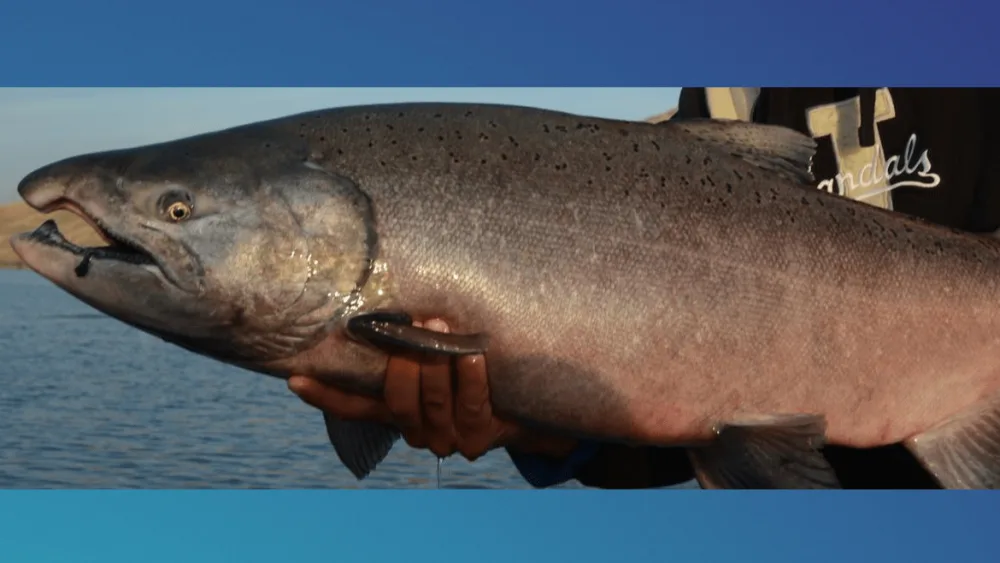 Photo Credit: Idaho Department of Fish and Game