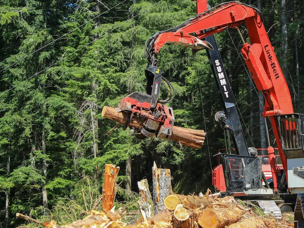 A harvester crane processes a log on a thinning project in the Mount Baker-Snoqualmie National Forest. The project was led by the Washington State Department of Natural Resources, the result of growing efforts by state agencies to conduct work on federal land. President Donald Trump’s plans to increase logging on federal lands will depend heavily on states’ cooperation, experts say. (Courtesy of Washington State Department of Natural Resources)
