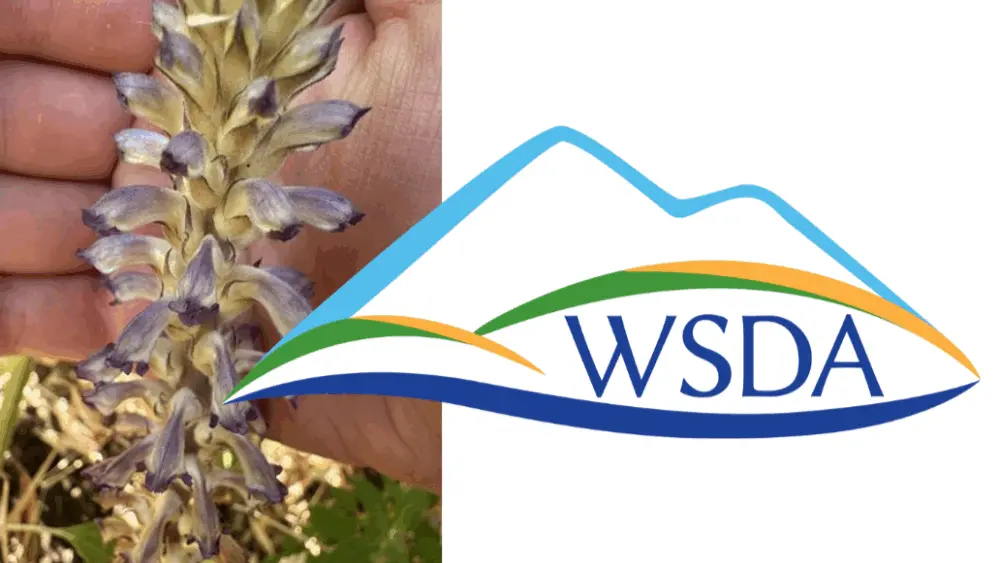 Photo Credit: Washington State Department of Agriculture