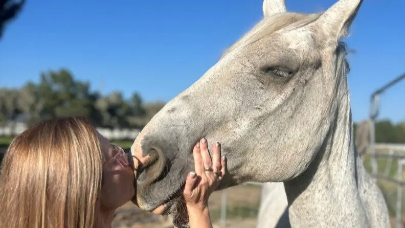 Photo credit: Washington State University Veterinary Teaching Hospital