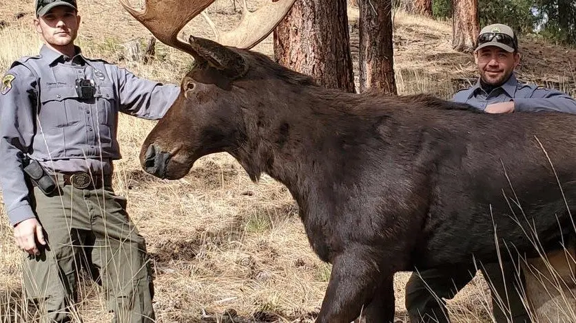 Photo Credit: Idaho Department of Fish and Game