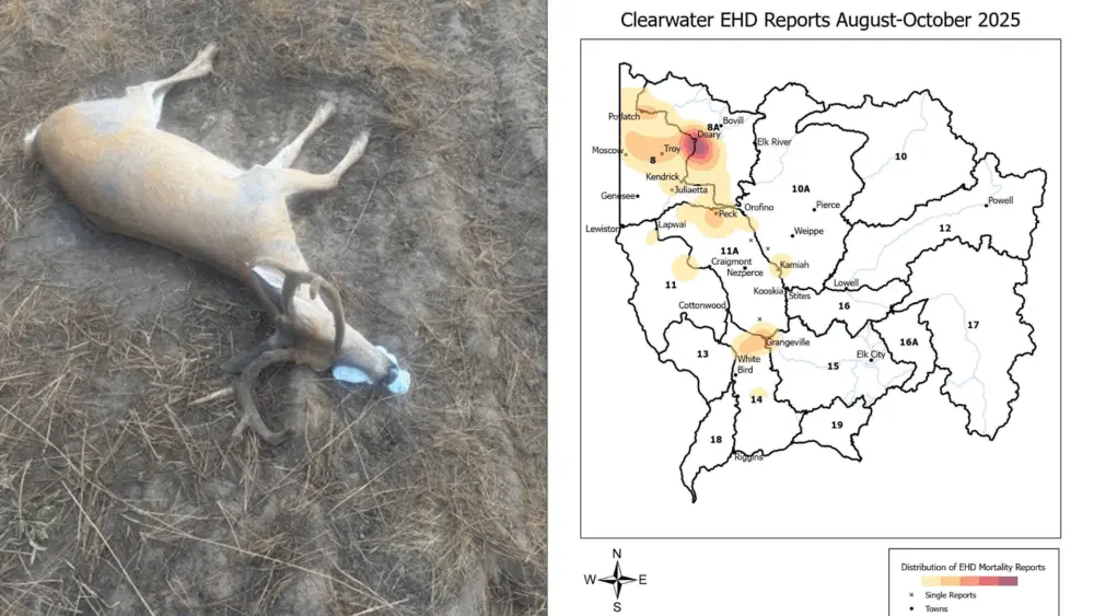 Photo Credit: Idaho Department of Fish and Game