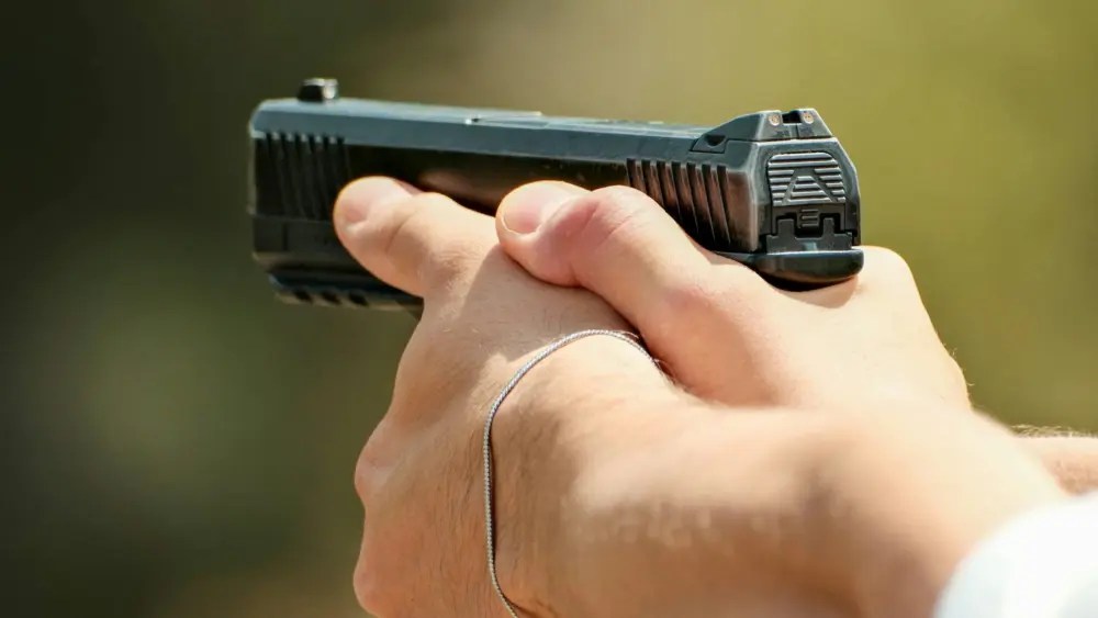 Handgun, Gun