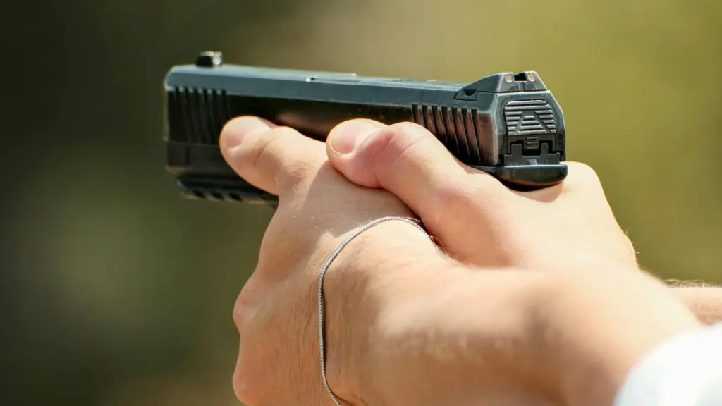 Handgun, Gun
