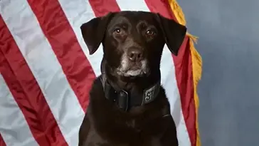 ISP K-9 Kali
