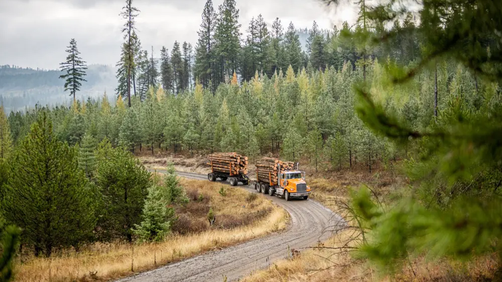 A logging truck hauls wood from U of I’s Experimental Forest