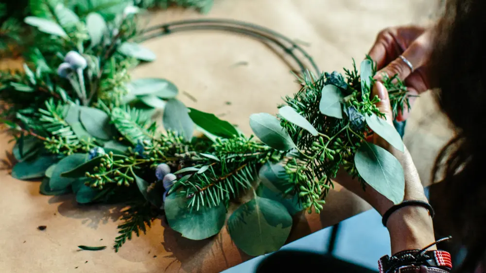 Photo by Hillary Ungson on Unsplash