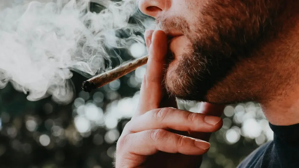 Photo by Elsa Olofsson on Unsplash