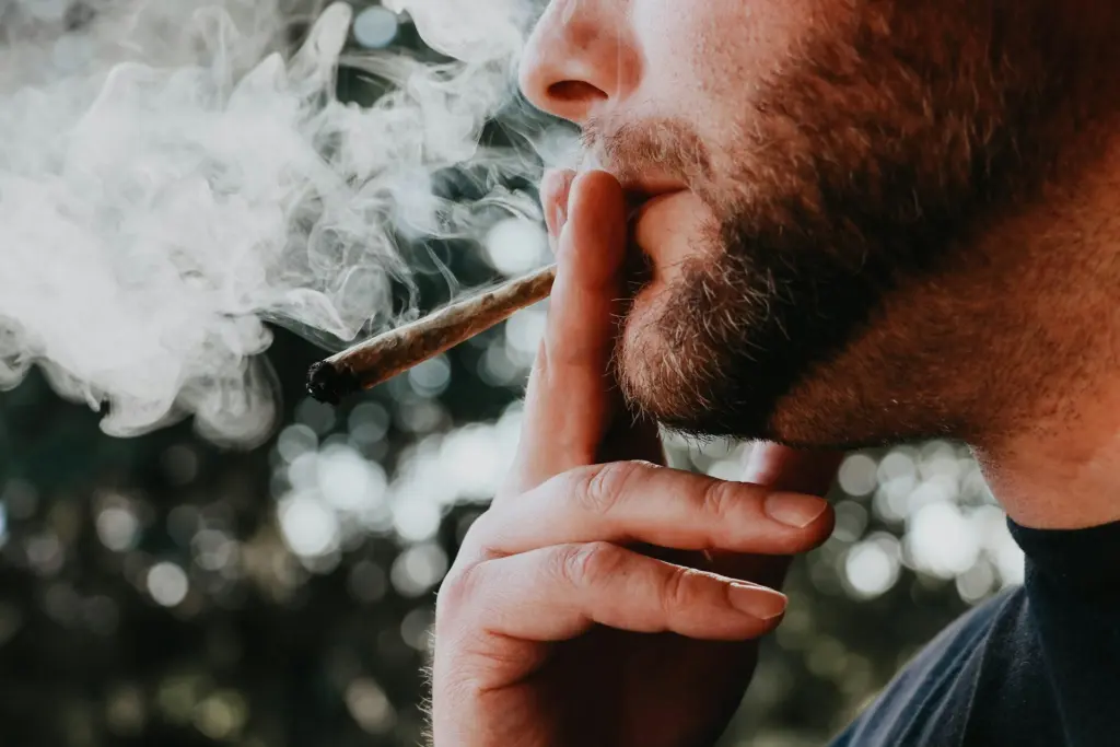 Photo by Elsa Olofsson on Unsplash