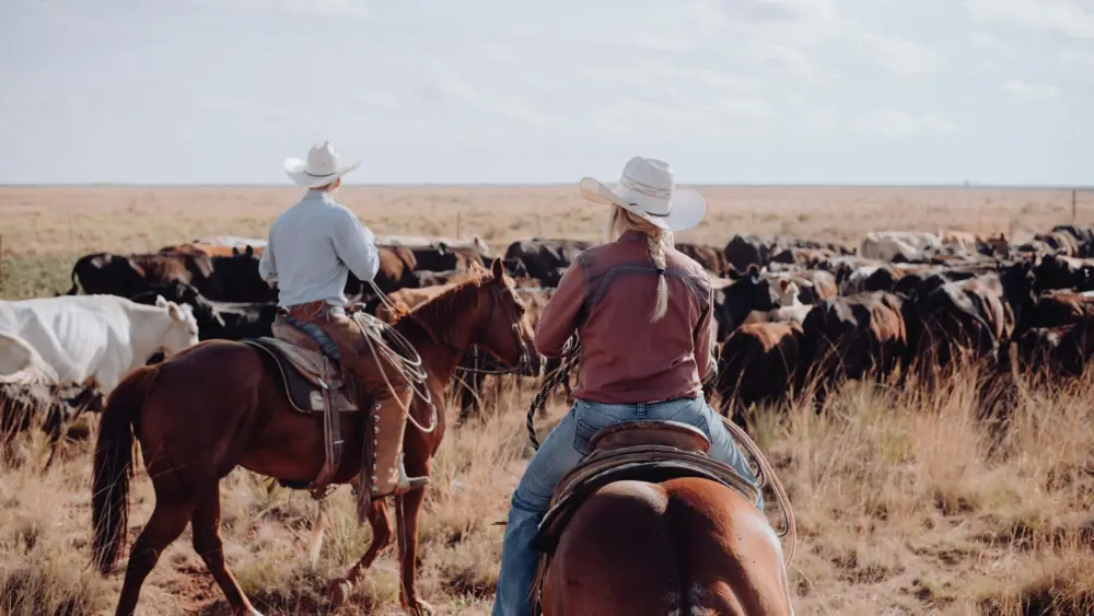Photo by Bailey Alexander on Unsplash
