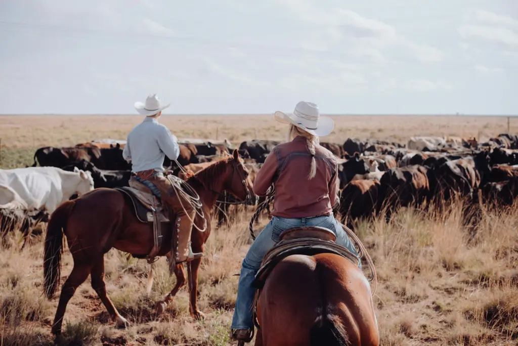 Photo by Bailey Alexander on Unsplash