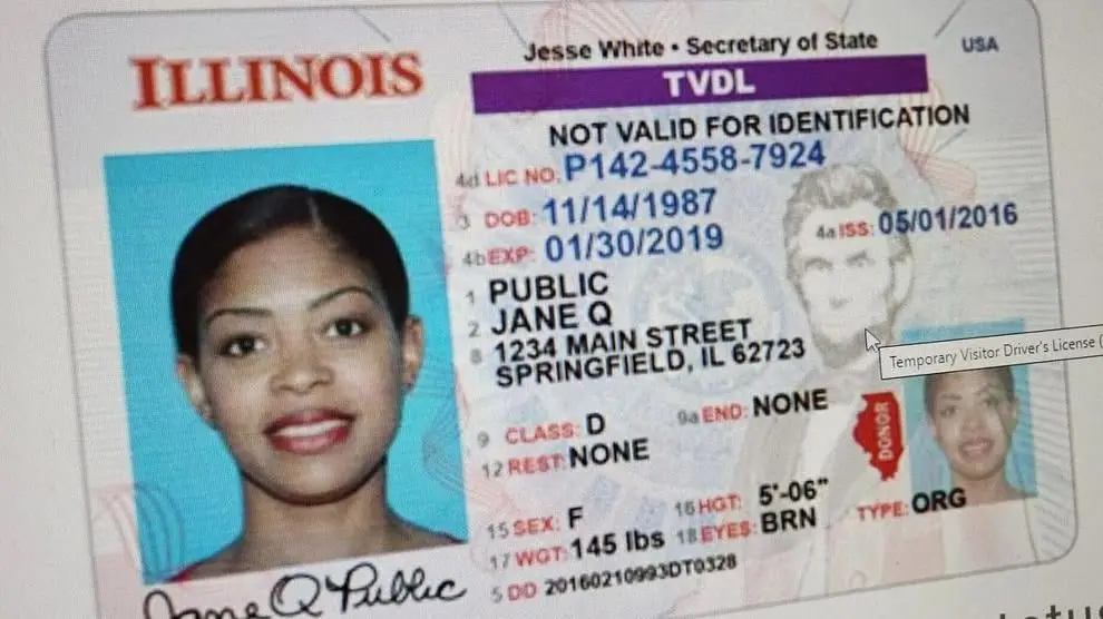 A graphic from ILSOS.gov shows details of Illinois' Temporary Visitor Driver's License program. Photo: Greg Bishop / The Center Square