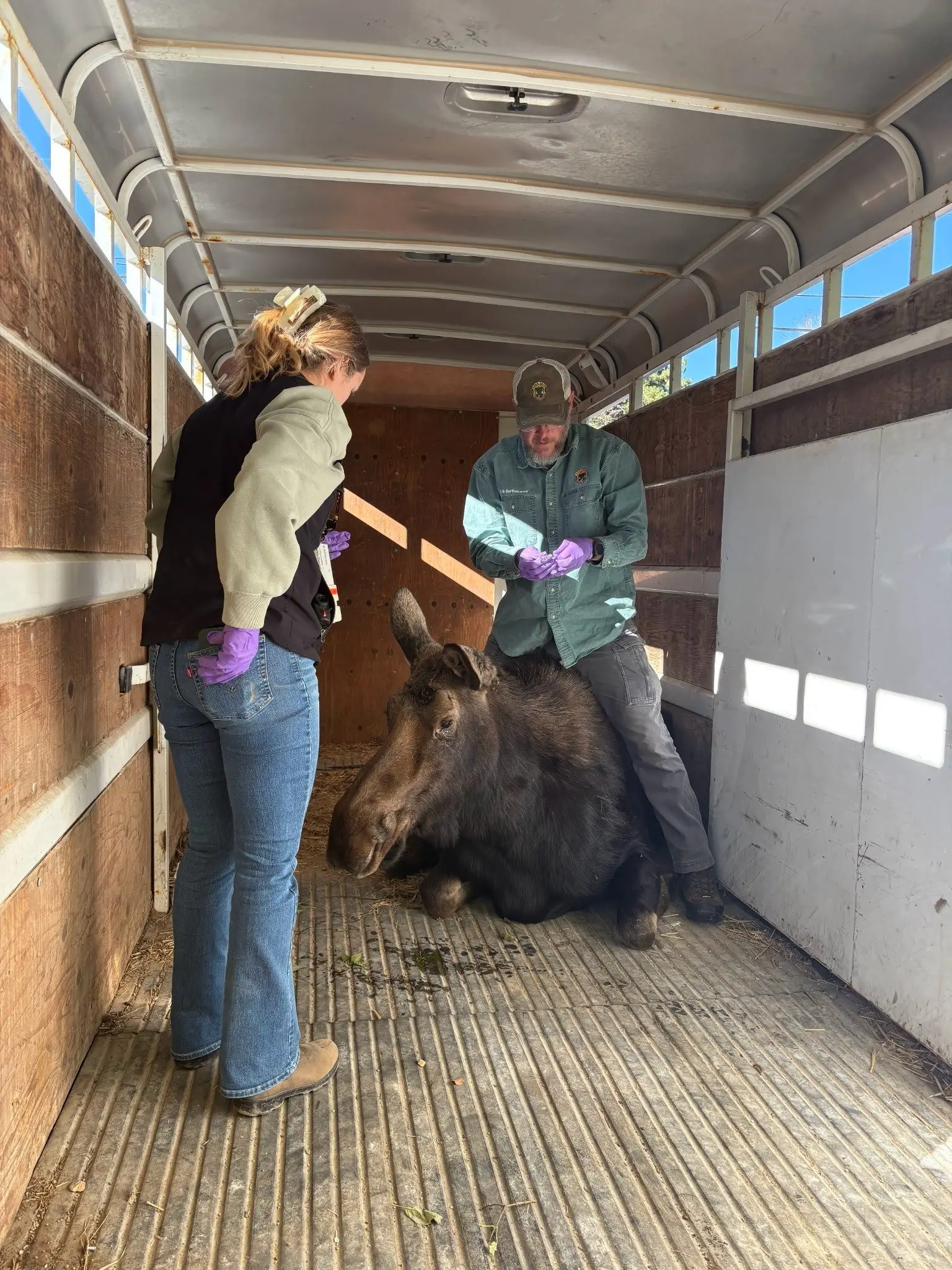Photo credit: Idaho Fish and Game / Erik Bartholomew and Houston Kimes assisting with the relocation effort.