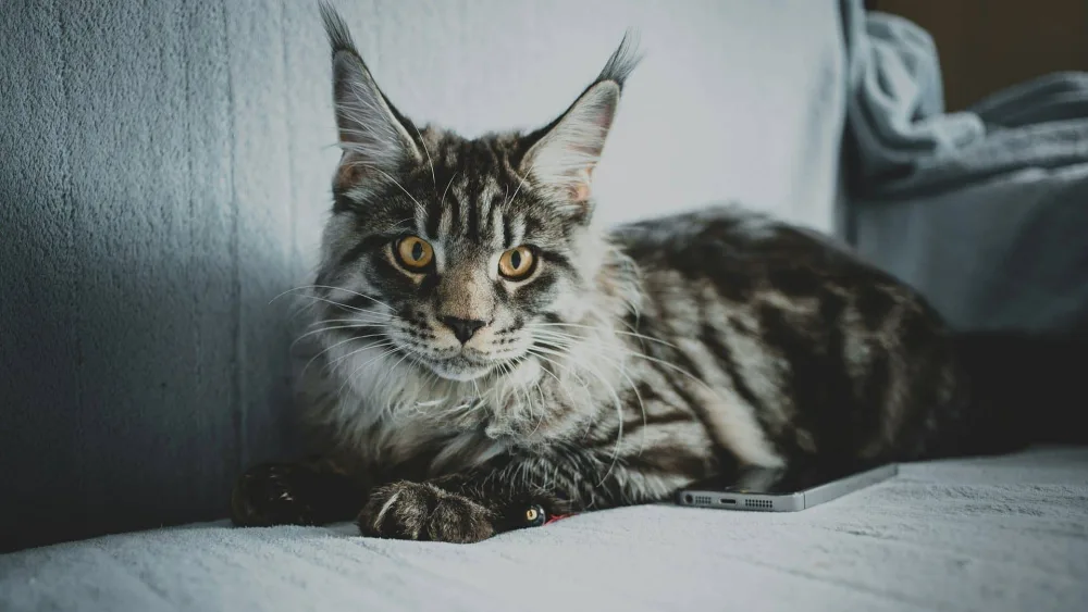 Photo by Sergei Wing on Unsplash