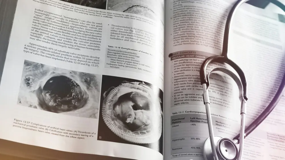 Photo by Abdulai Sayni on Unsplash