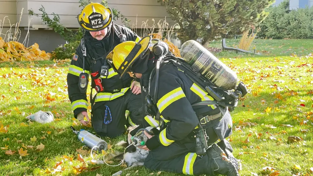 Photo: Victoria Johnson 2025 Dailyfly News