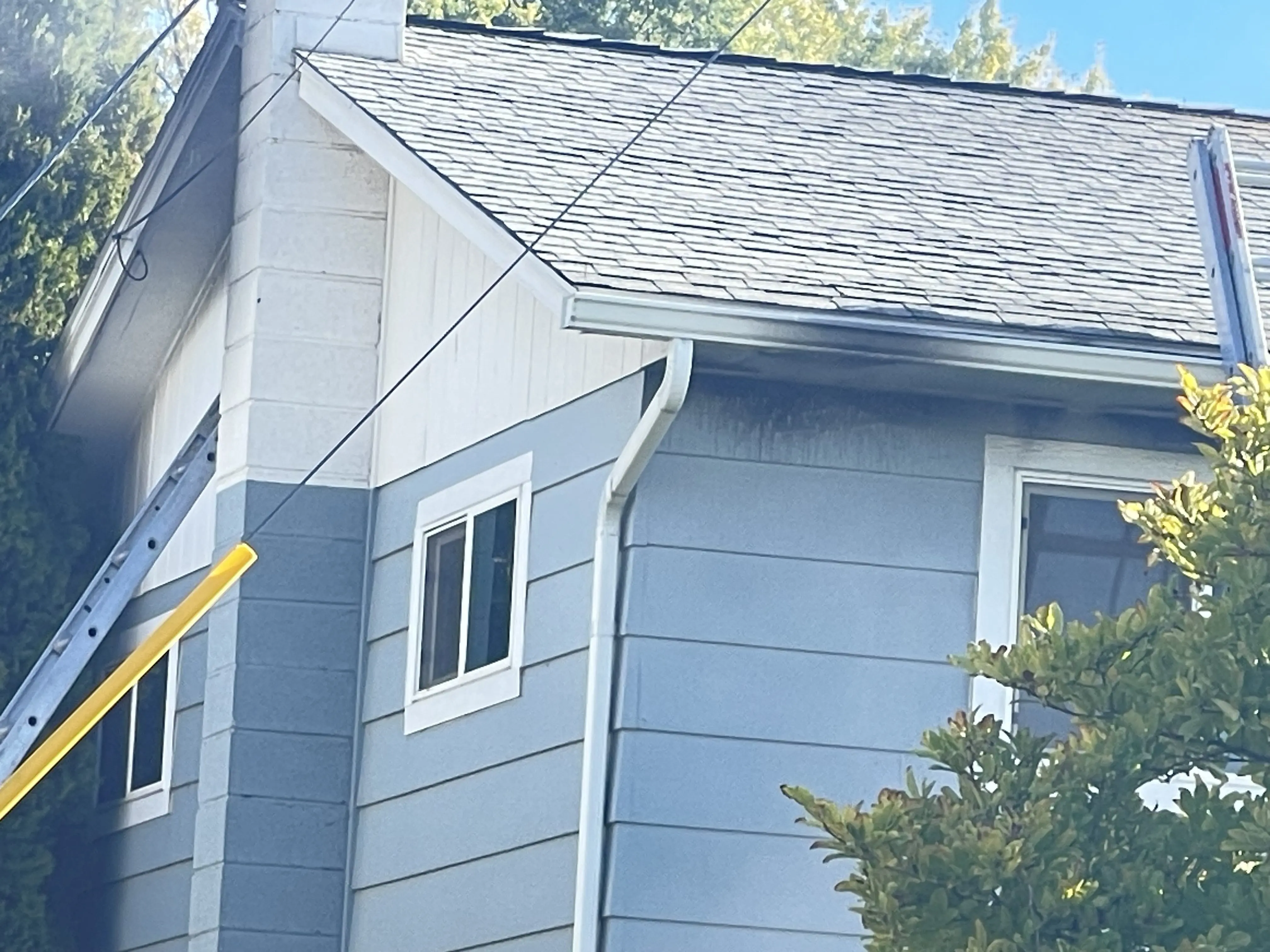 Photo: Victoria Johnson 2025 Dailyfly News