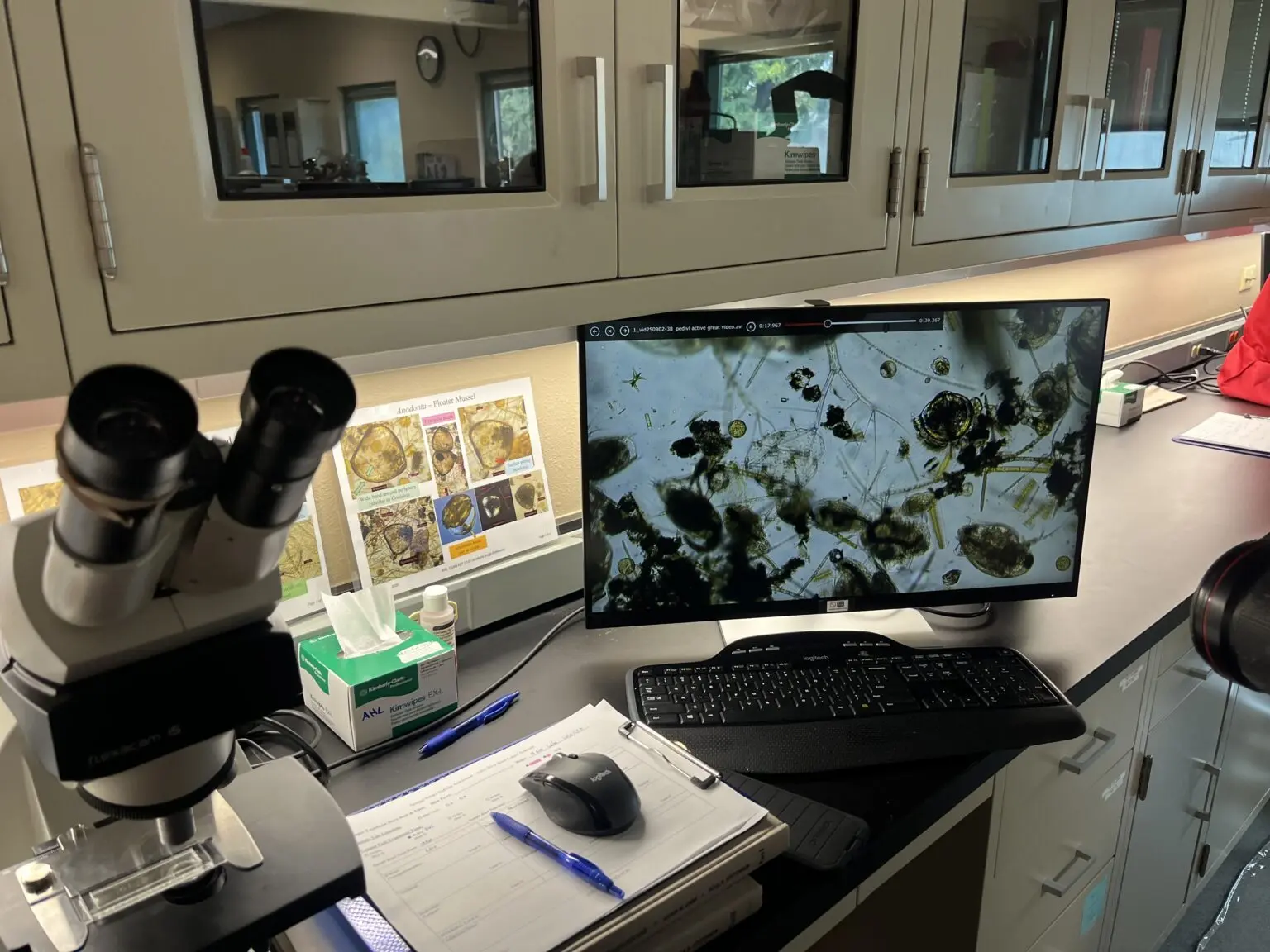 Scientists and technicians use microscopes to study water samples taken from the Snake River to detect invasive quagga mussels. (Photo by Clark Corbin/Idaho Capital Sun)