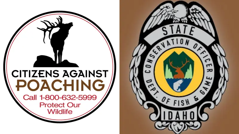 Photo Credit: Idaho Fish and Game – Panhandle Region / Facebook