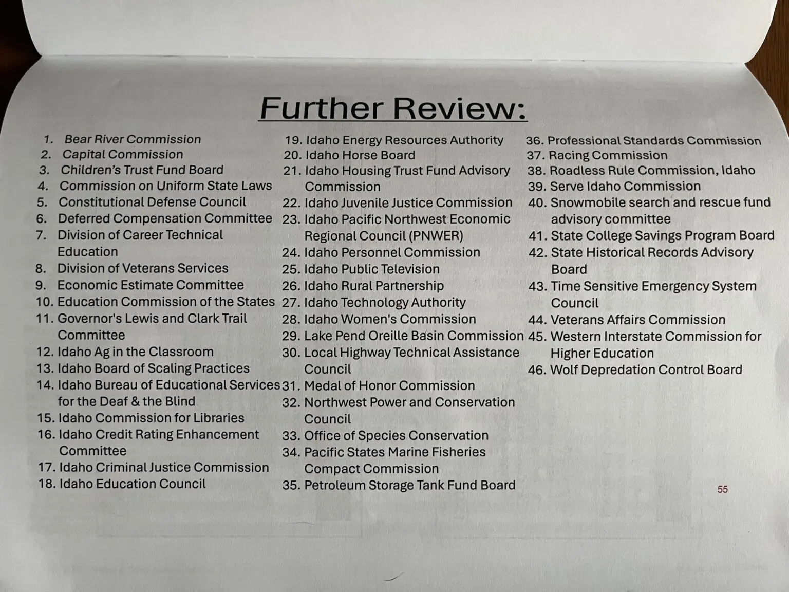 The Idaho DOGE Task Force presented the Joint Finance-Appropriations Committee with lists of government programs and agencies to consider cutting on Nov. 6, 2025. (List provided courtesy of Idaho DOGE Task Force/Idaho Legislative Services Office)