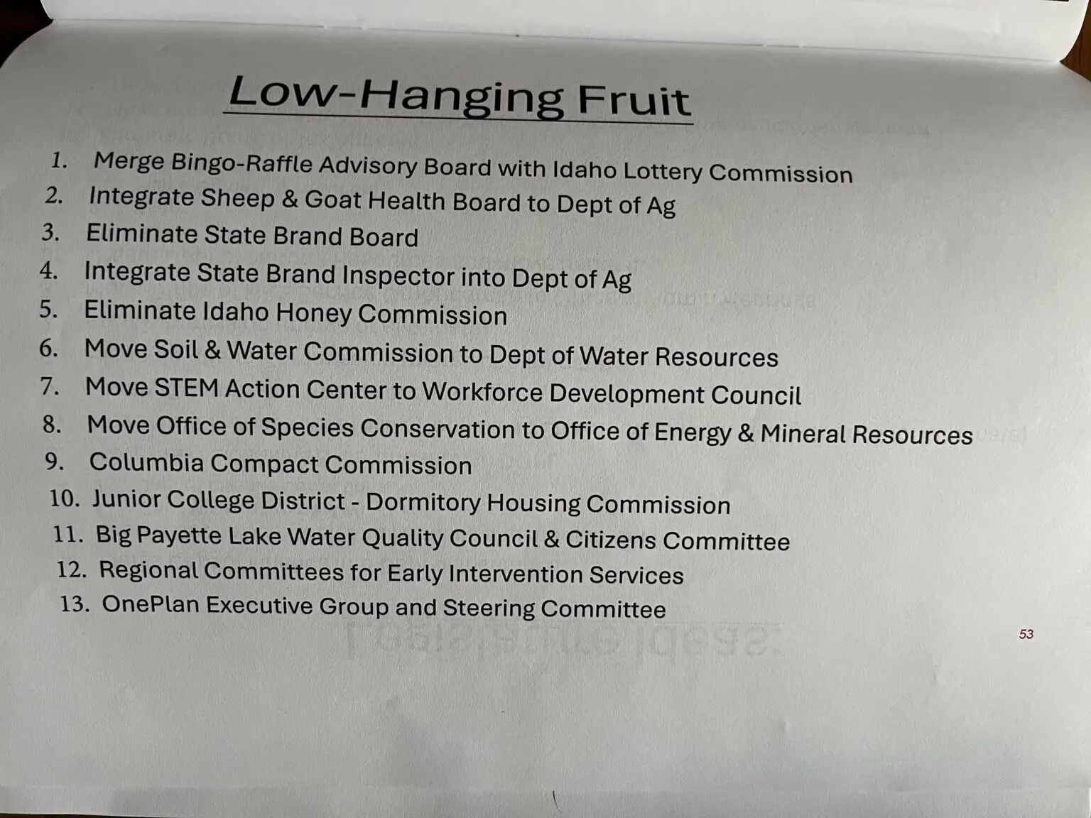 The Idaho DOGE Task Force presented the Joint Finance-Appropriations Committee with lists of government programs and agencies to consider cutting on Nov. 6, 2025. (List provided courtesy of Idaho DOGE Task Force/Idaho Legislative Services Office)